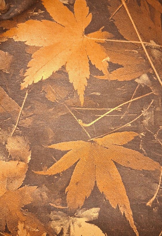 روتختی مدل پاییزی